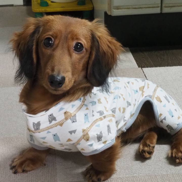 7c912a2d be4c 45f8 a5a7 3ccfe8559185 1702987593335