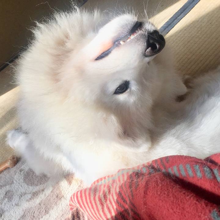 7c914b90 95ba 431d 8657 3a2c96c58957 1544328586518