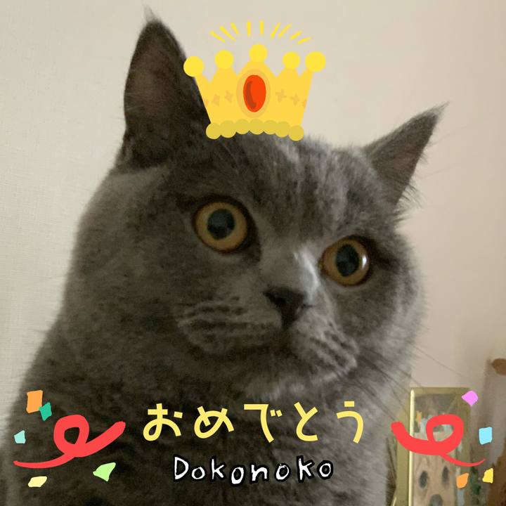 7c914c76 0dd8 48e7 85a9 d4c580e5e9b9 1685936357194