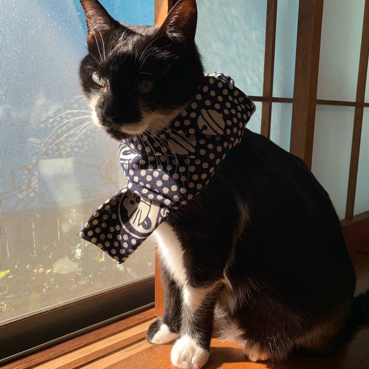 7c915248 8a7c 42bb ad76 4e711d6aa6b5 1580618434569