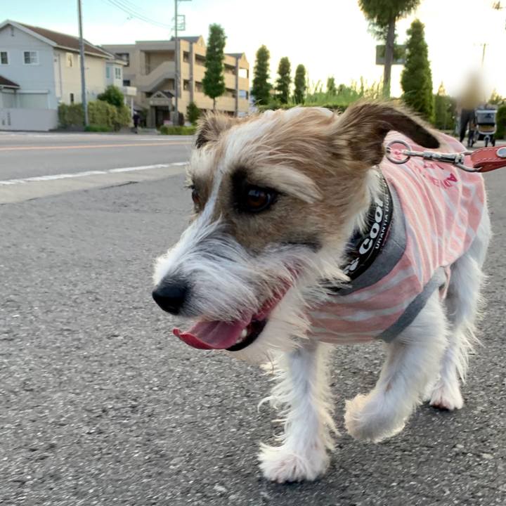 7c91587f 1ca0 4c29 9217 b3548598ba7b 1627731758068