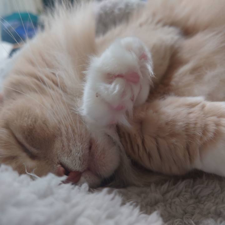 7c915bc0 c37e 420b 8a53 2d46bc08b36c 1679198778688