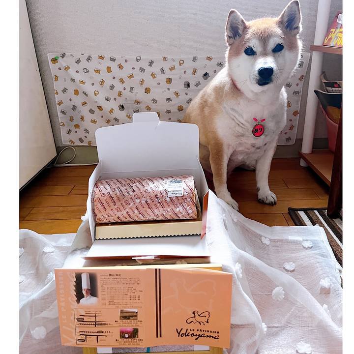 7c91743a 9b8a 4ccc b106 1657339bd38b 1720079325858