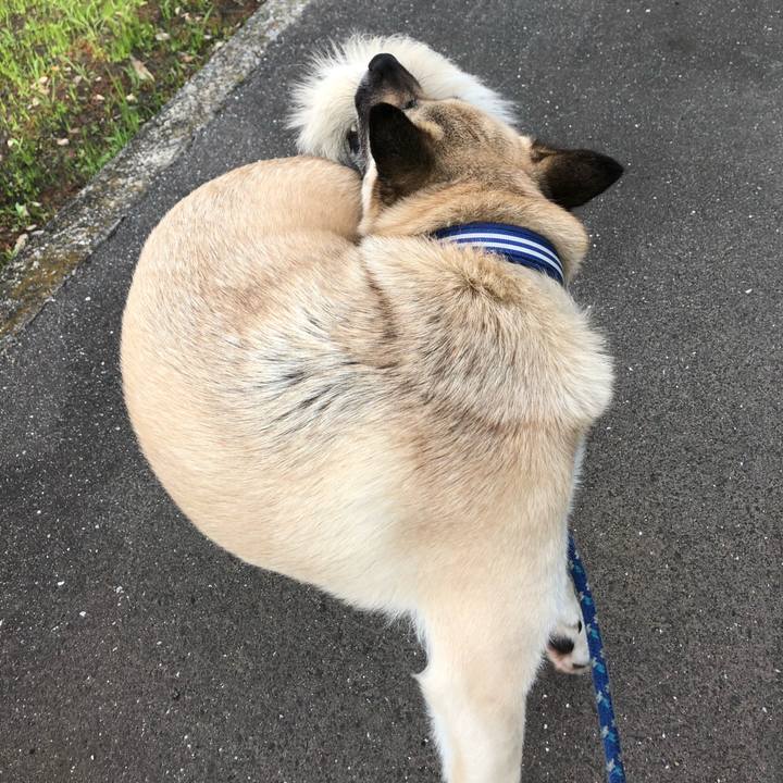 7c91797c 7c95 4c0e 9c5f db8b02284f21 1592222639330