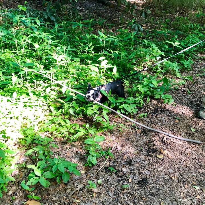 7c91ef5d 0cb1 4d7a a88e ee5f2990236d 1527148910352