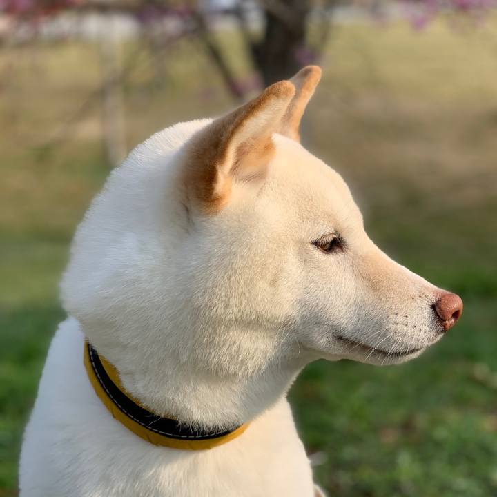 7c9219ba a189 4ec8 b25d bafd25e786a7 1554634770543