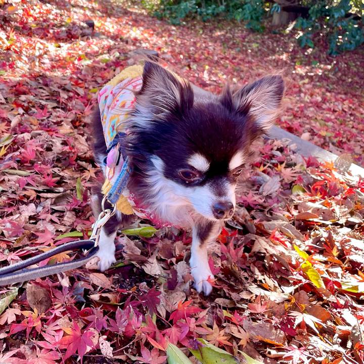 7c922303 9d9c 4d94 bc18 4ef35d02cabb 1639289749027