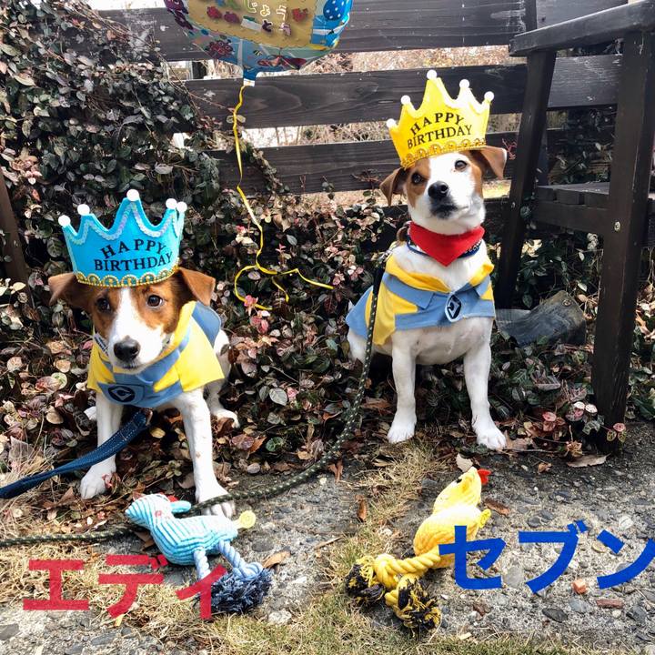 7c9228d5 bad3 46f4 8e1f b5d67c22c27b 1583048614234