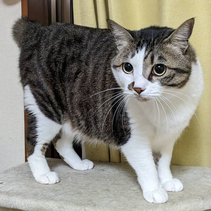 7c9236db aa35 4b38 bfc1 1032b4e84870 1710847724378