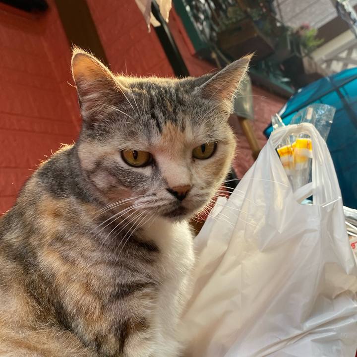 7c925ef1 98d6 4342 a0ef a377e70c7603 1623081340421