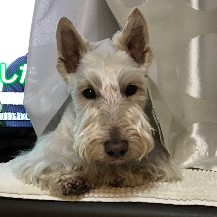 7c92673c dd07 4788 8cae e092548c4e11 1520077405752