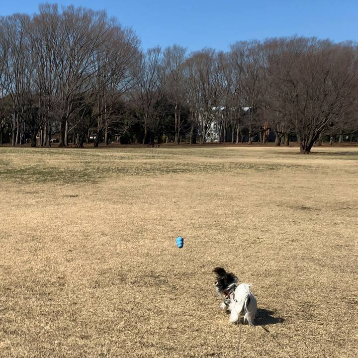 7c926d5f 33fd 44a8 a326 0365dabef9a2 1581597260119