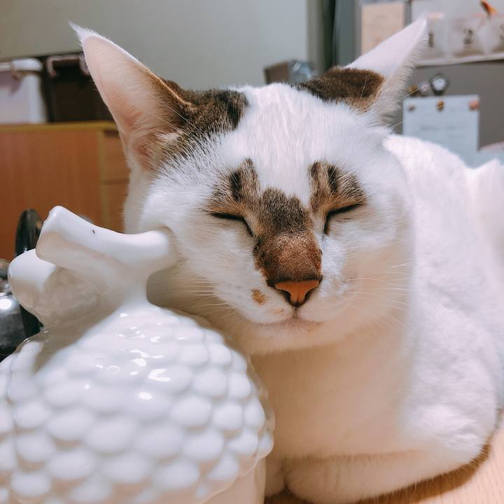 7c92c9a1 19fd 464b 9f84 7f8e402b94e8 1521465992593