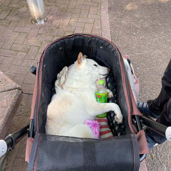 7c92ef7d 30ec 4d51 841a 140b1c26c422 1653480586812