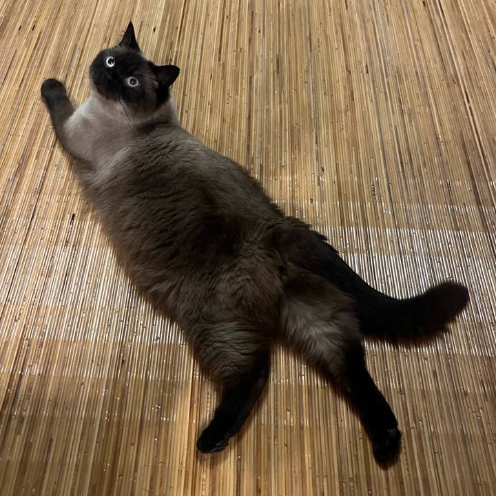 7c92f77c 8c97 4bef a0b2 e75db0dbec33 1657542259754