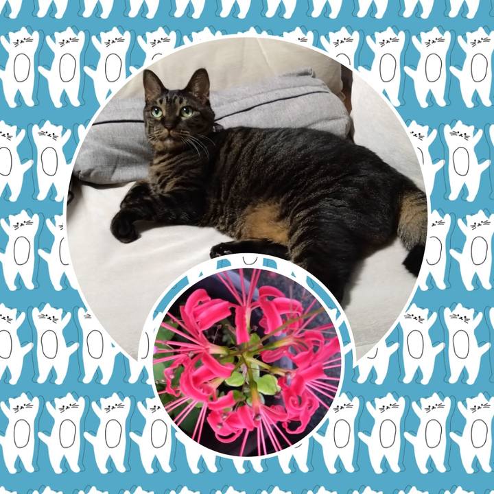 7c93632e 16e6 44d5 9738 4594726b0e47 1759415309330