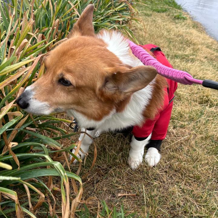 7c936a65 fcd9 42d6 8283 070b17d82a66 1743647709427