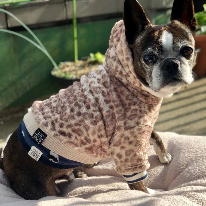 7c93b4b9 c8d7 432c b087 b66c016ca831 1516534974914