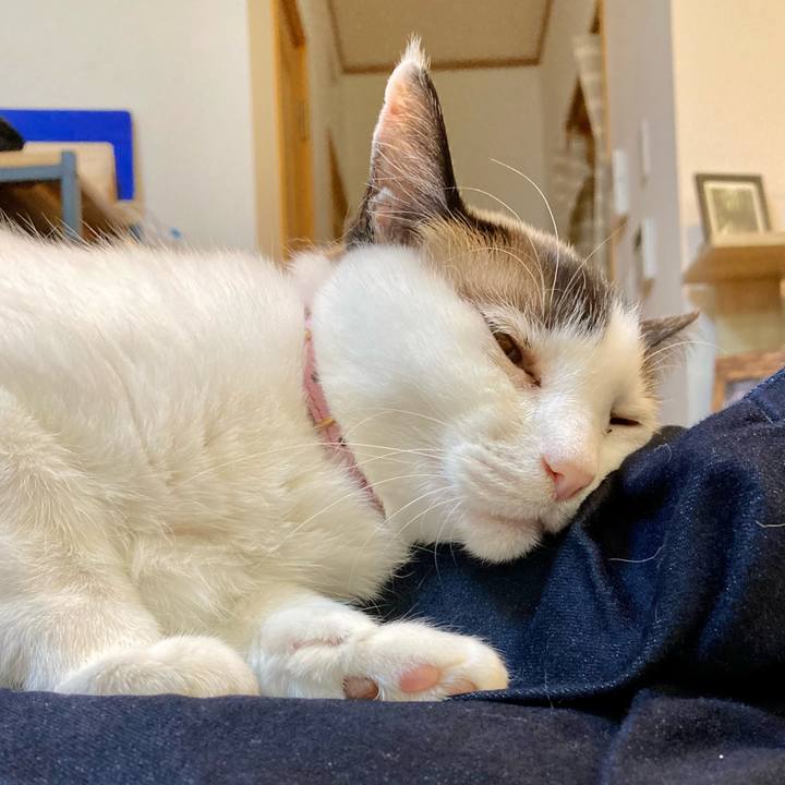 7c93c59f fbda 426b 8b0d 10a2d74cd481 1647606757296