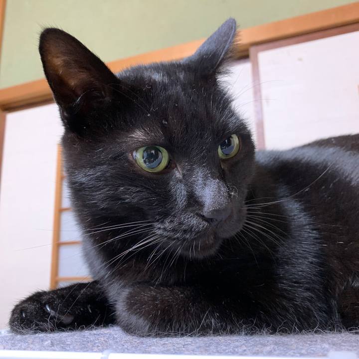 7c93ddeb b598 491f 9796 8df6a93fa156 1576890233393