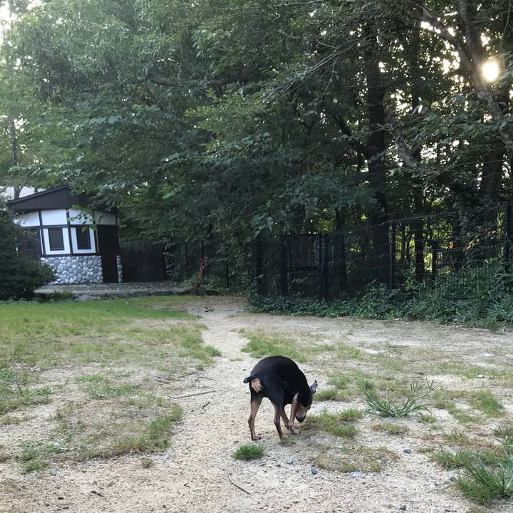 7c9445e0 3039 4cbc 8d2d bdff5ecabf90 1537191056361