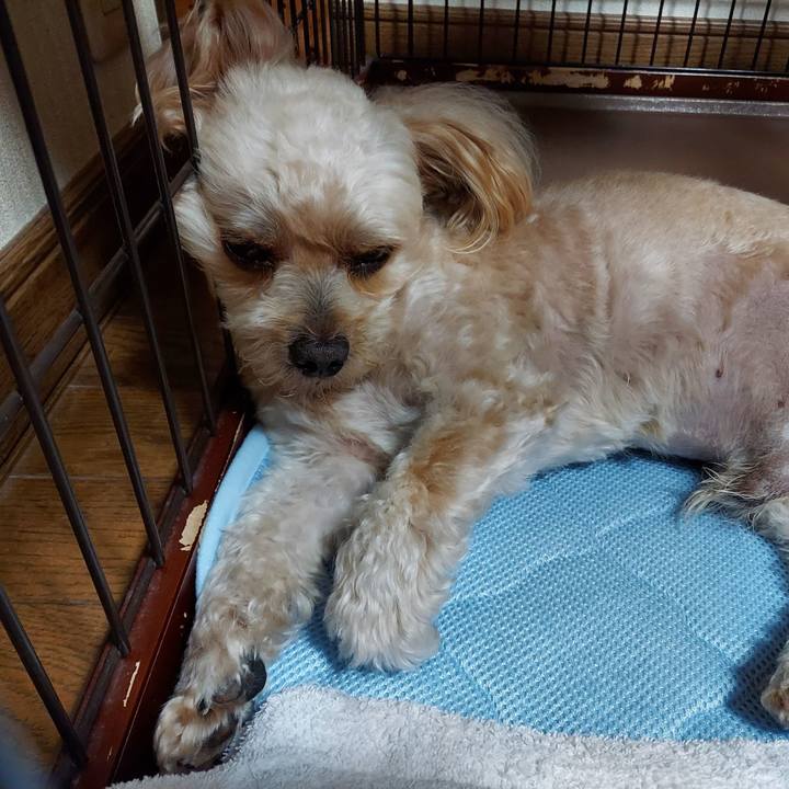 7c946535 c12a 42d3 a2b0 4d47cf292f74 1631197884951