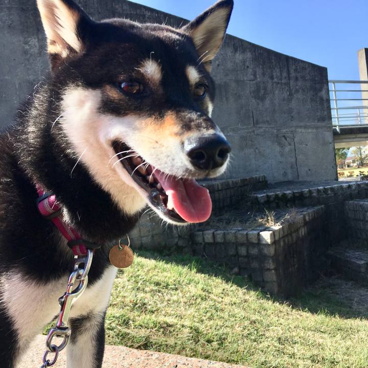 7c94c279 730b 465e a743 dbaef6280263 1540871087651