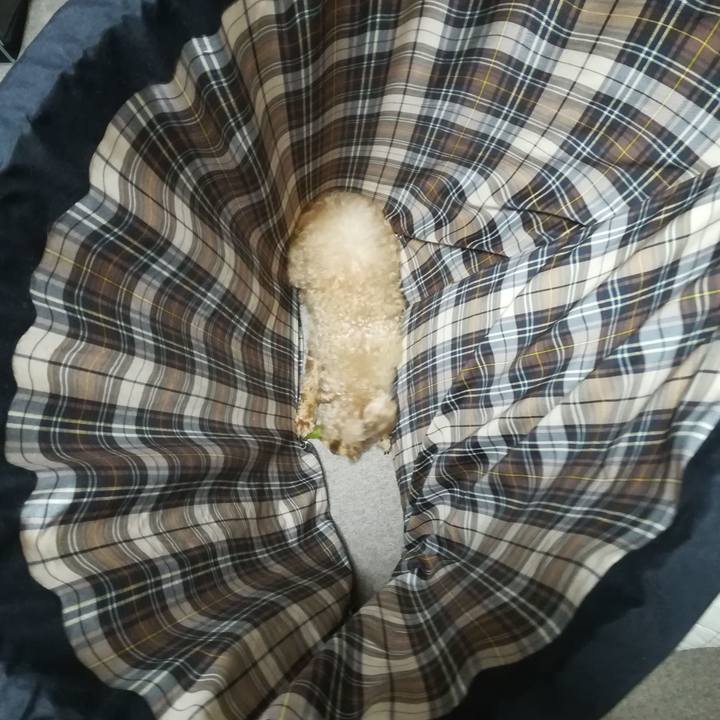 7c94d926 8d2e 44d7 b9cc 25900f910899 1542150347343