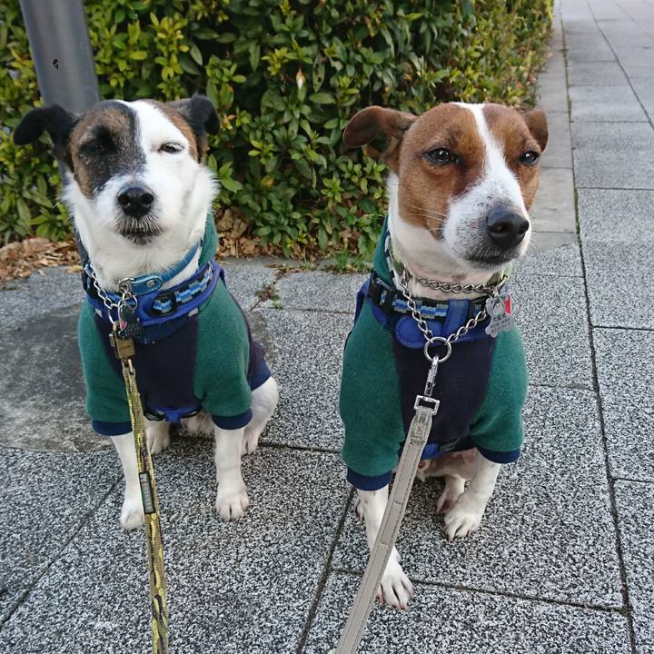 7c950142 b7bf 4e0a 8129 3d509e6c5cb9 1612996640432