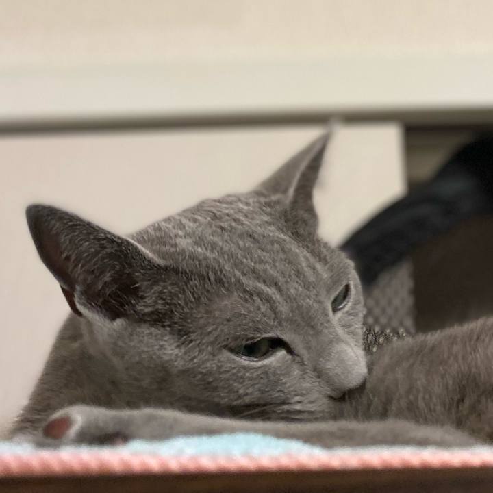 7c950abe e4e1 42e5 b79e 45d85736f550 1623498834201