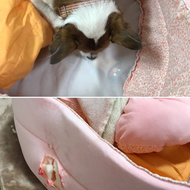 7c952409 f5dd 4e8d 91e9 1b222d666059 1548325702540