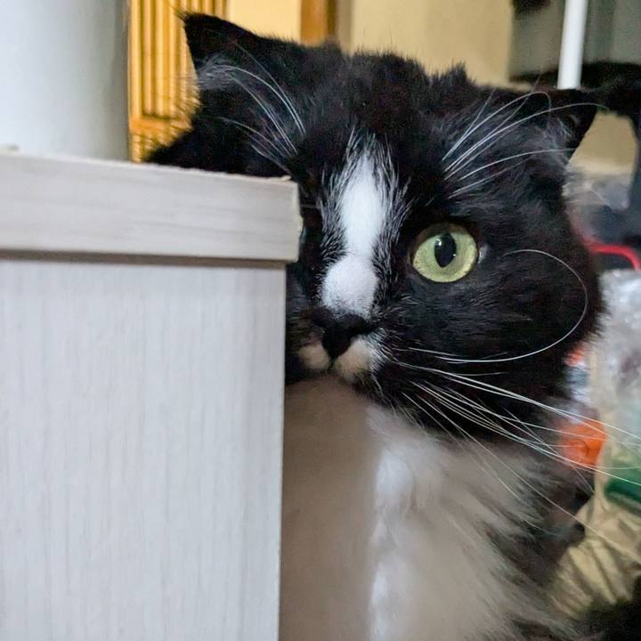 7c953614 a606 4c2f ab31 b0beab0f4a6f 1743311009341