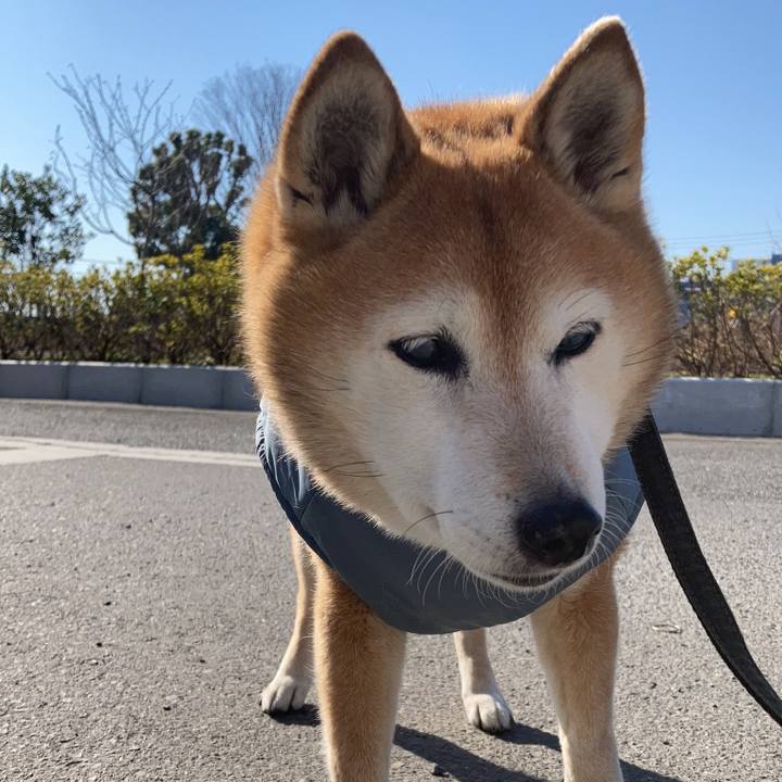 7c953c70 7234 4c73 a31f f55f8a659705 1768561997797