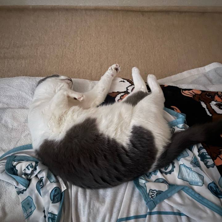 7c954777 9e58 4fcb a0b8 d4c17368c073 1750208593246