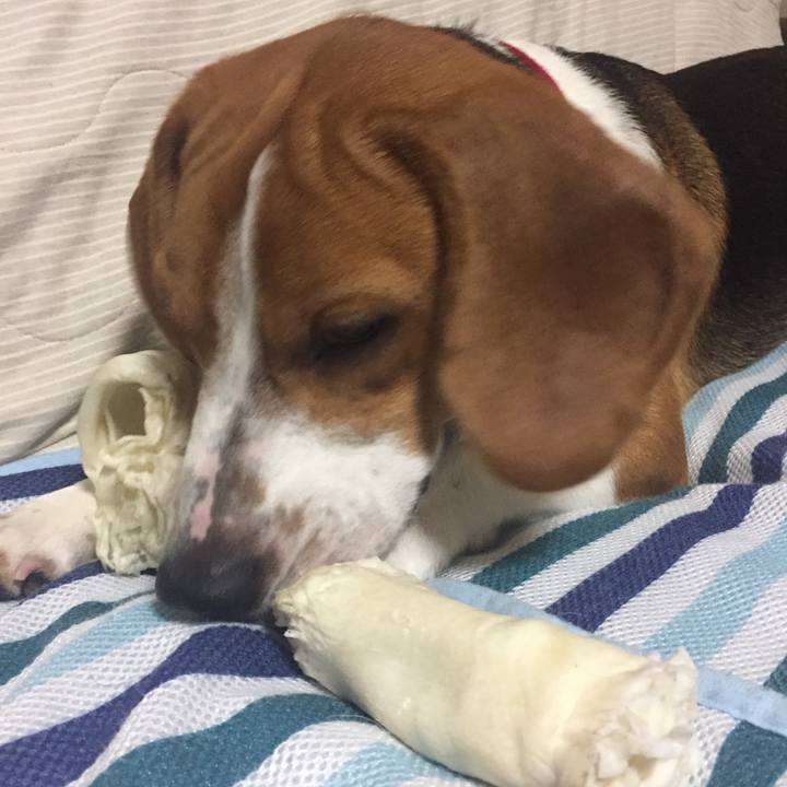 7c9580f7 a49c 40ab b85b d38f72ce2aee 1535634163950