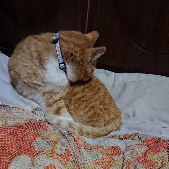 7c958d61 aee5 45d0 b11b 20ff697392eb 1587552259411