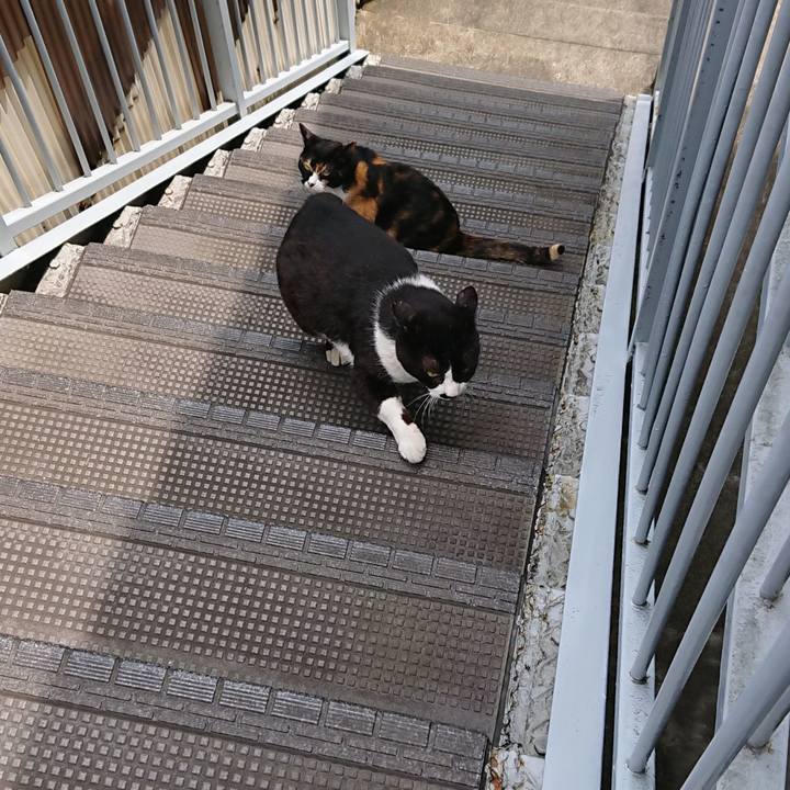 7c95ccb7 5e58 4f75 a6fd b235197f9433 1559356478734