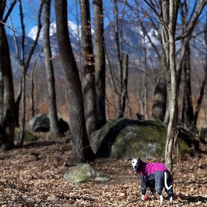 7c95d5ab 9bab 4b30 8c90 39c606814009 1521730114538