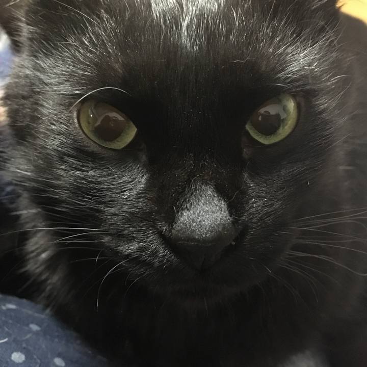 7c96139f df6b 4606 9134 e2e442c18eb1 1542017003210