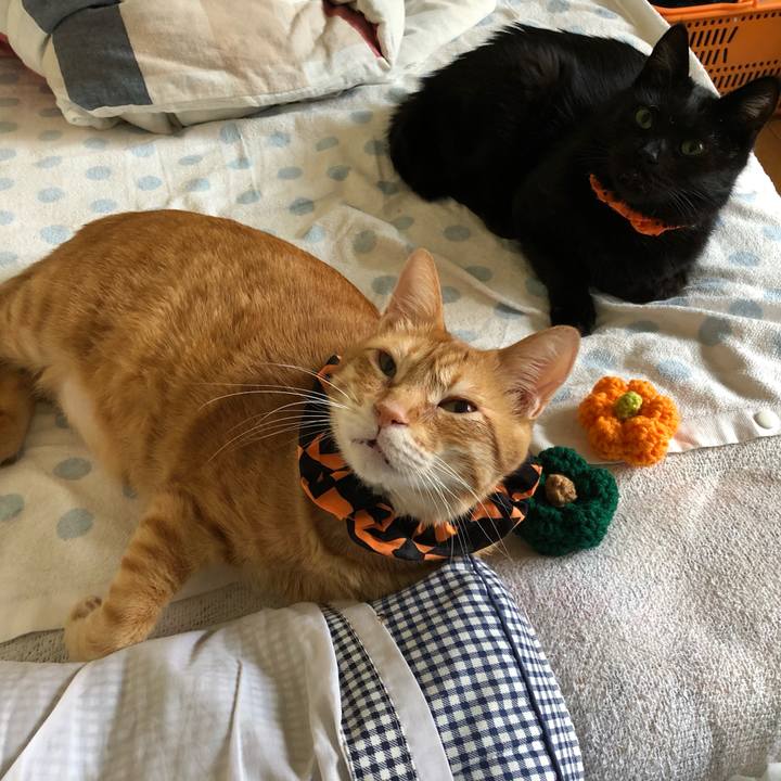 7c9616b3 5813 4dce 9329 22d7ee394ef9 1572137151461