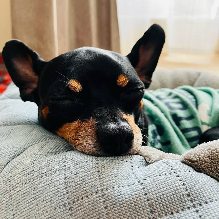 7c964f00 e091 469d 82a0 5104a6cf3d66 1735793912659