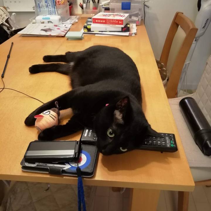 7c968768 d214 4566 91ce ec0e5e5e5967 1563059732081