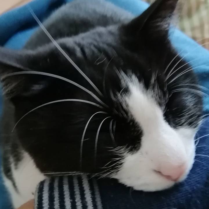 7c96b3f0 c5c8 4113 b98e 45c9fc8d62d8 1606140445262