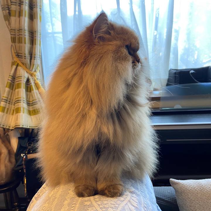 7c96de4d 4f12 4e30 806d 719b06ce81be 1581379815260