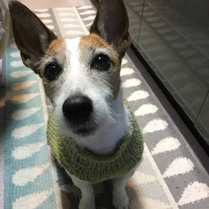 7c96e217 0f63 4181 bb3f 6a36e69abbb6 1609464764081