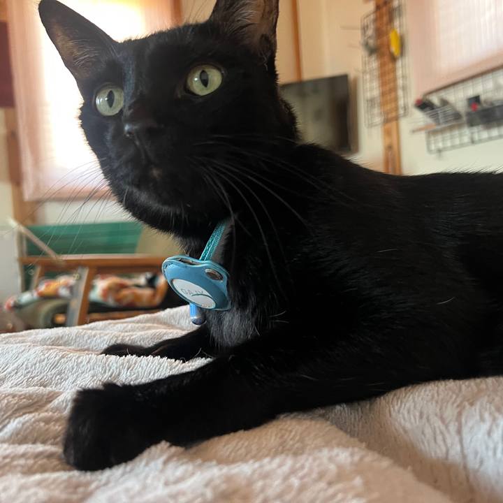 7c96e356 2d9f 42b0 b431 0933954c75a3 1761615848842