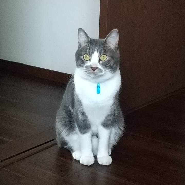 7c97014e 939f 4957 a0ad 96551b4f129a 1603754243715