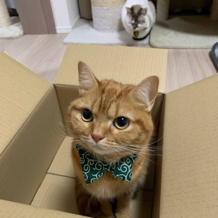 7c970847 98ca 464b bf76 d2a7475f3ca8 1574127976321