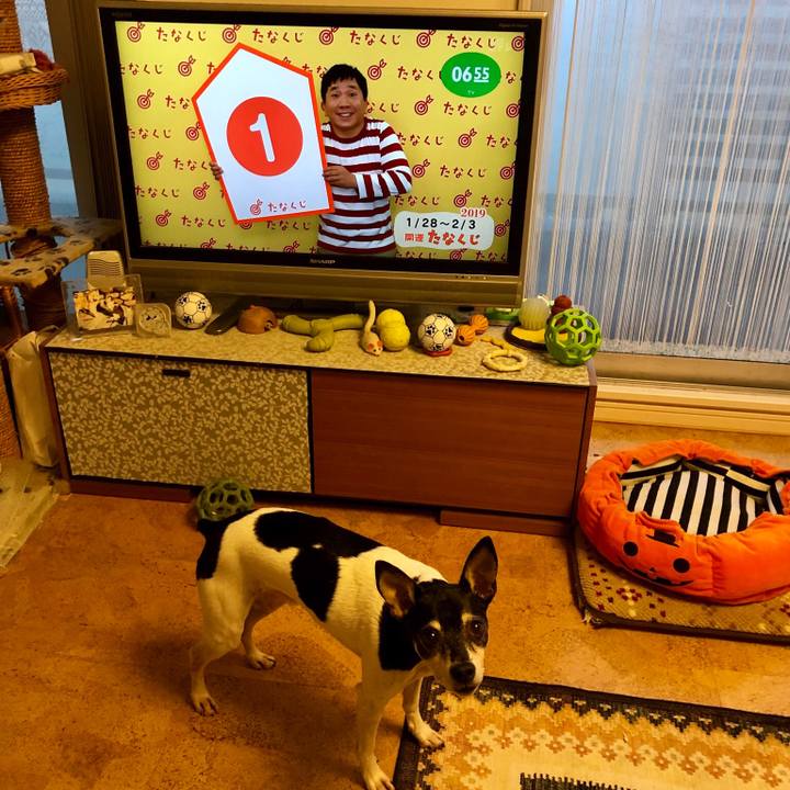 7c971ad1 3b4e 439a 9f46 f06b44c8a50d 1548626712963