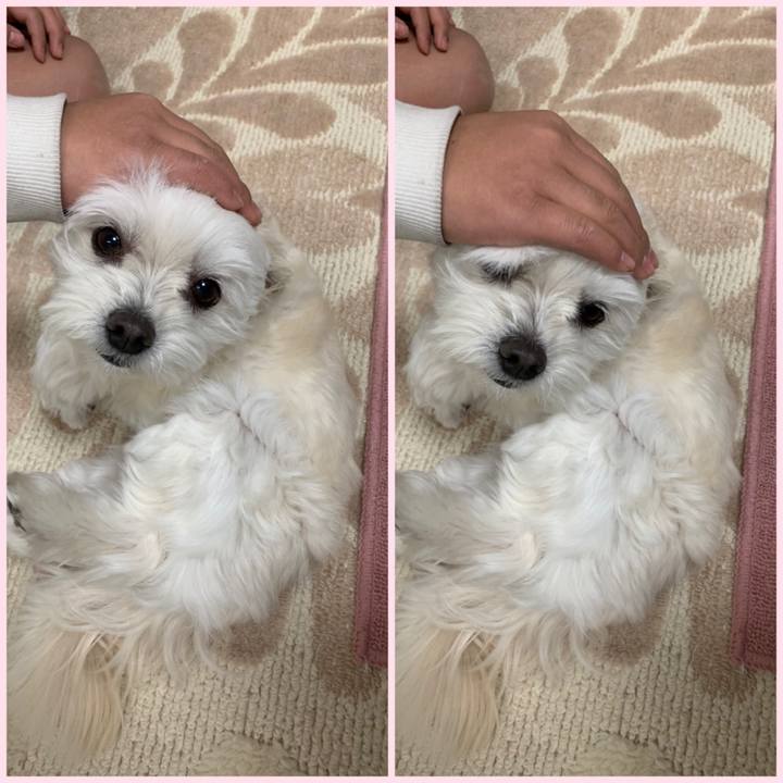 7c972ddb 07c5 4a8b 8706 c10159648021 1612441916020